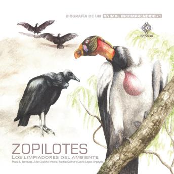 Download Zopilotes, los limpiadores del ambiente by Laura López Argoytia, Julio Coutiño Molina, Sophie Calmé