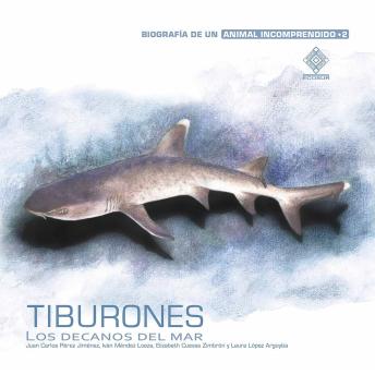 Tiburones, los decanos del mar