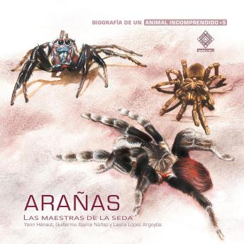 [Spanish] - Arañas, las maestras de la seda