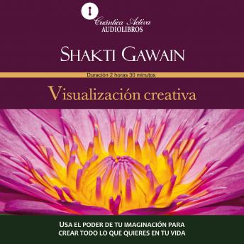 [Spanish] - Visualización creativa