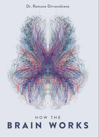 How the brain works