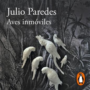 [Spanish] - Aves inmoviles