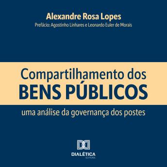 [Portuguese] - Compartilhamento dos Bens Públicos: uma análise da governança dos postes