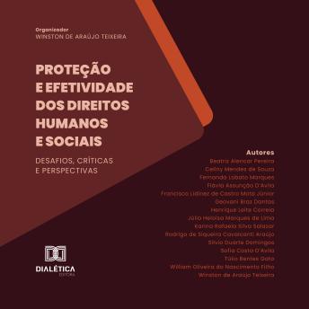[Portuguese] - Proteção e Efetividade dos Direitos Humanos e Sociais: Desafios, Críticas e Perspectivas