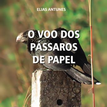 [Portuguese] - O voo dos pássaros de papel