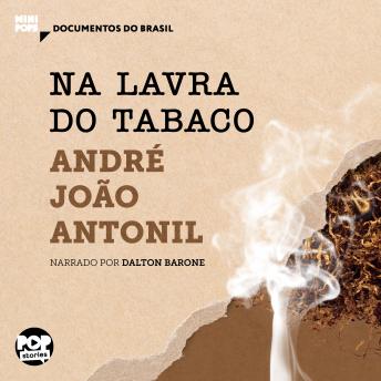 [Portuguese] - Na lavra do tabaco