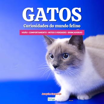 [Portuguese] - Gatos Curiosidades do Mundo Felino: Visão dos gatos, comportamento, mitos e verdades, brincadeiras