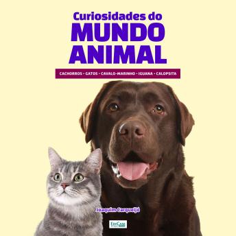 [Portuguese] - Curiosidades do Mundo Animal: Gatos, cachorro, animais exóticos, cavalo, pássaros