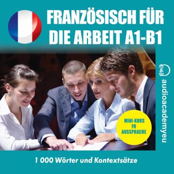 [German] - Französisch für die Arbeit A1-B1: Wirtschaftsfranzösisch Audiokurs