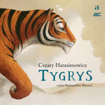 [Polish] - Tygrys