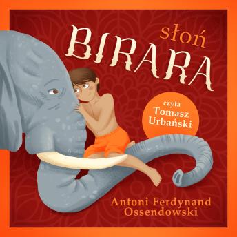 [Polish] - Słoń Birara