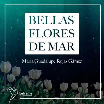 Bellas flores de mar