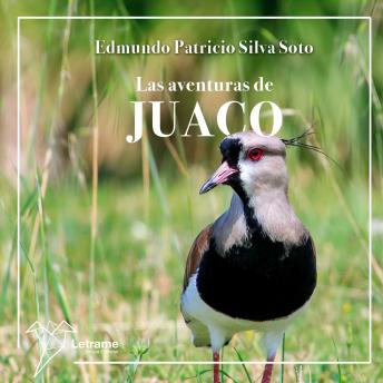 [Spanish] - Las aventuras de Juaco