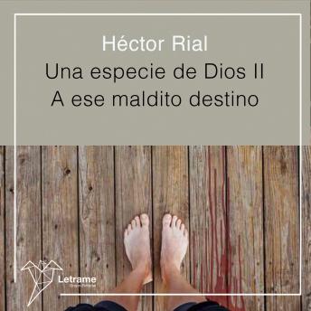 Una especie de Dios II: A ese maldito destino