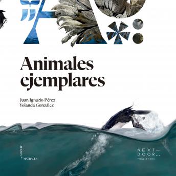 [Spanish] - Animales ejemplares