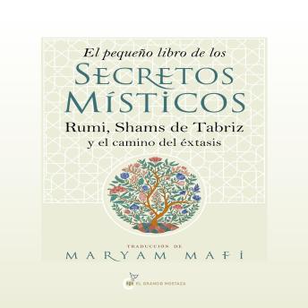 El pequeño libro de los secretos místicos