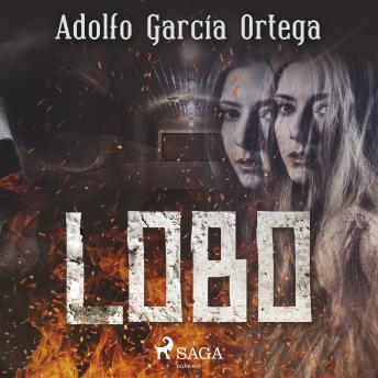 [Spanish] - Lobo
