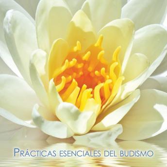 Prácticas esenciales del budismo: Los cuatro poderes oponentes, La práctica de los votos del Bodhisatva, El yoga del dormir y el yoga del despertar