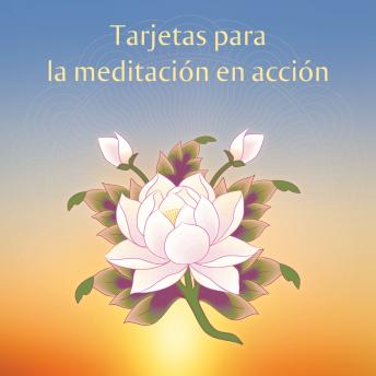 Tarjetas de meditación en acción: Guías para practicar la meditación en la vida diaria