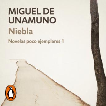 [Spanish] - Niebla (Novelas poco ejemplares 1)