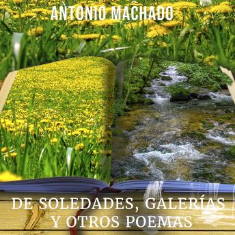 Soledades, galerías y otros poemas