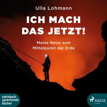 [German] - Ich mach das jetzt! (Ungekürzt)