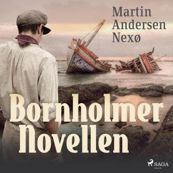 [German] - Bornholmer Novellen (Ungekürzt)