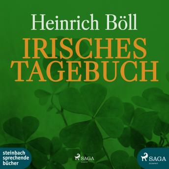 [German] - Irisches Tagebuch