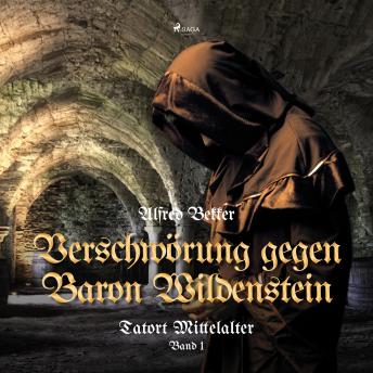[German] - Verschwörung gegen Baron Wildenstein (Tatort Mittelalter, Band 1)