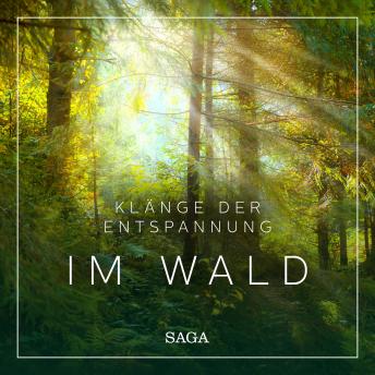 [German] - Klänge der Entspannung - Im Wald