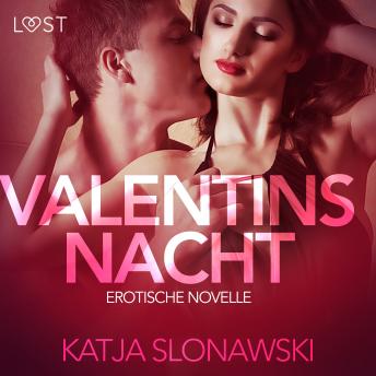 [German] - Valentinsnacht: Erotische Novelle