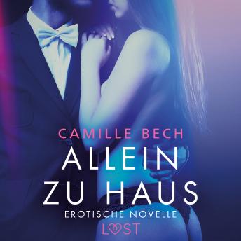 [German] - Allein zu Haus - Erotische Novelle