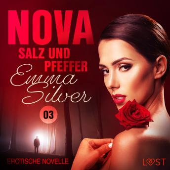 [German] - Nova 3 - Salz und Pfeffer: Erotische Novelle
