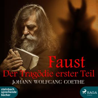 [German] - Faust - Der Tragödie erster Teil