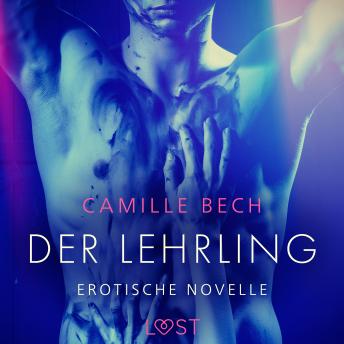 [German] - Der Lehrling - Erotische Novelle