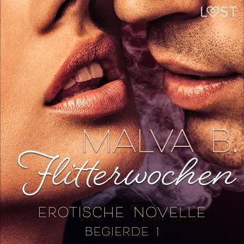 [German] - Begierde 1 - Flitterwochen: Erotische Novelle