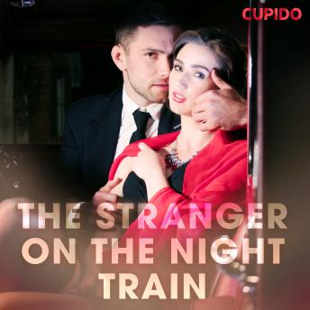 The Stranger on the Night Train