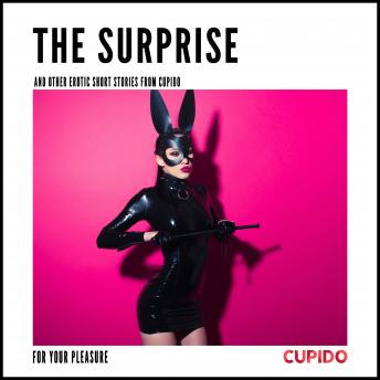 The Surprise - and other erotic short stories from Cupido