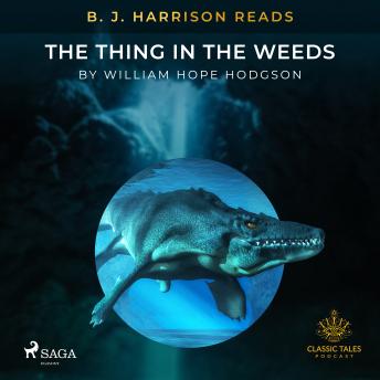 B. J. Harrison Reads The Thing in the Weeds sample.
