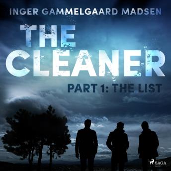 Cleaner 1: The List sample.