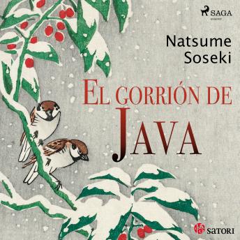 [Spanish] - El gorrión de Java