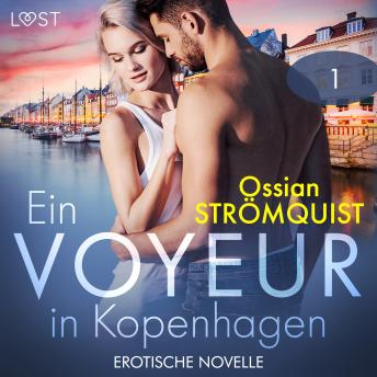 [German] - Ein Voyeur in Kopenhagen 1 - Erotische Novelle