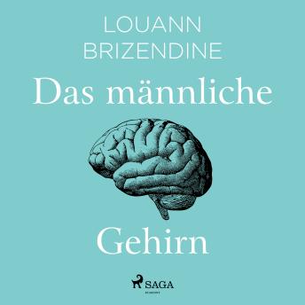 [German] - Das männliche Gehirn