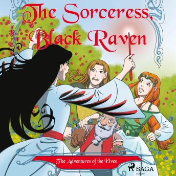 Adventures of the Elves 2: The Sorceress, Black Raven, Audio book by Peter Gotthardt