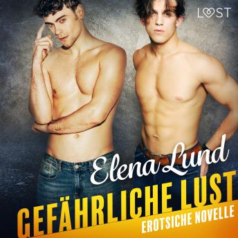 [German] - Gefährliche Lust - Erotische Novelle