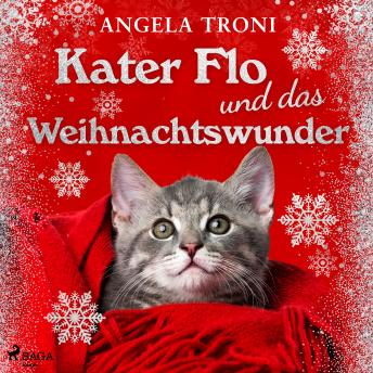[German] - Kater Flo und das Weihnachtswunder