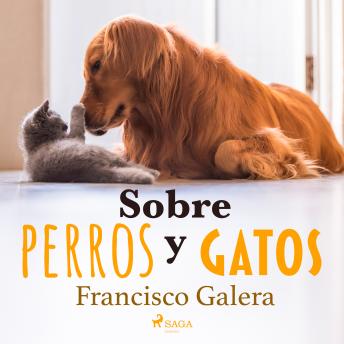 [Spanish] - Sobre perros y gatos