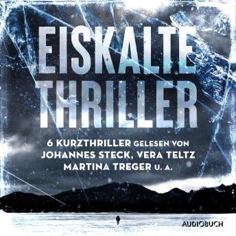 [German] - Eiskalte Thriller: Augen ohne Licht, Winter des Wahnsinns, Revenge - Du bist niemals sicher, Kaltes Land, Der Fleischer