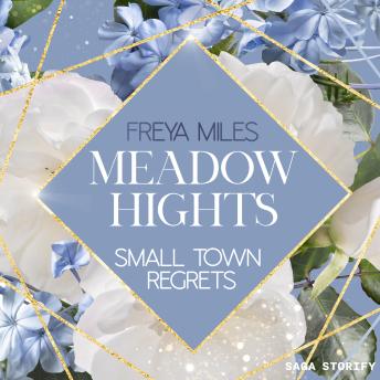 [German] - Meadow Hights - Small Town Regrets: Second Chance Romance (New York Gentlemen 7)
