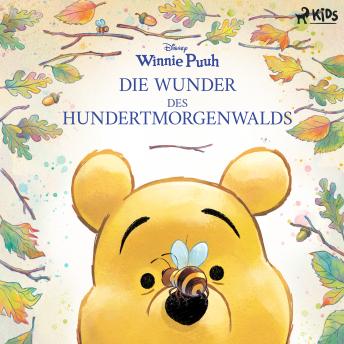 [German] - Winnie Puuh - Die Wunder des Hundertmorgenwalds